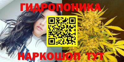 jwh Бузулук