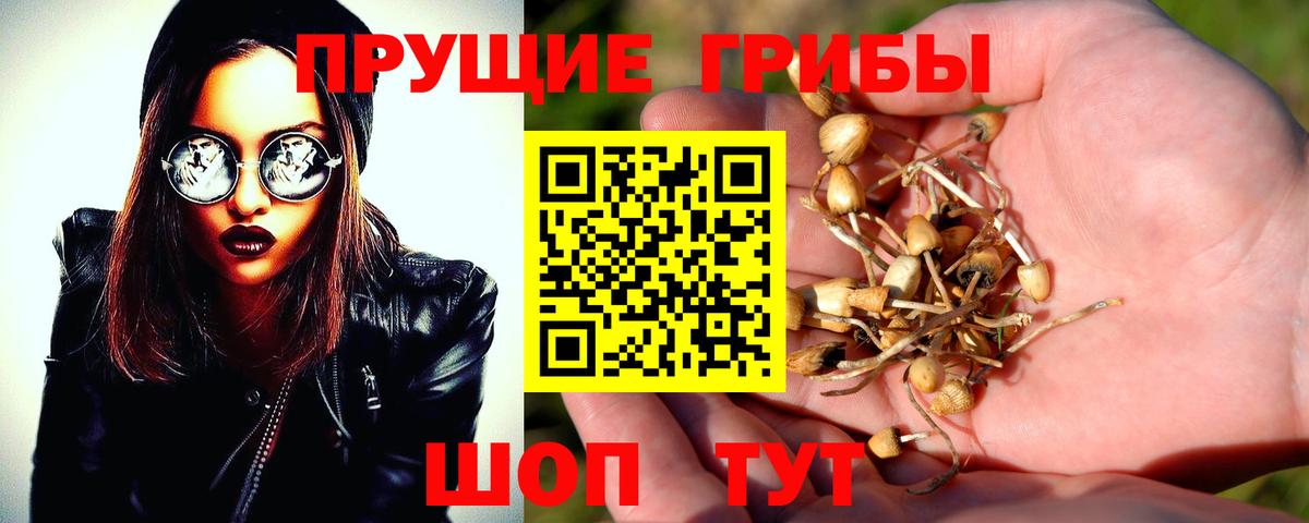 Псилоцибиновые грибы MAGIC MUSHROOMS  Вход с VPN  где купить наркоту  Галлюциногенные грибы Magic Shrooms  Новоуральск 